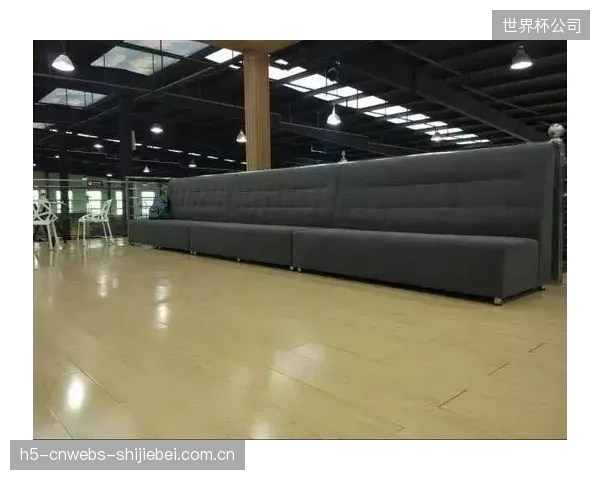 头部品牌为其永磁驱动划船机提供平均每季度1.2次的OTA固件升级，持续优化算法和用户体验